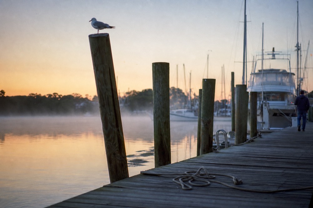 Masts and dock pilings along Shem Creek at sunrise, no text, no logos, no people