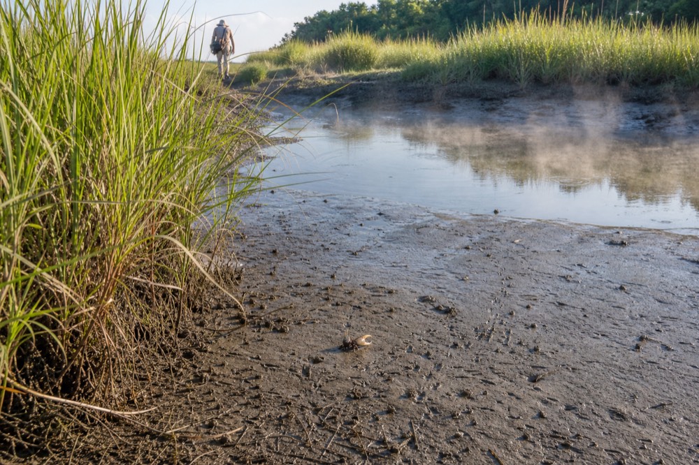 A muddy creek bank at low tide with marsh grass, no text, no logos, no people