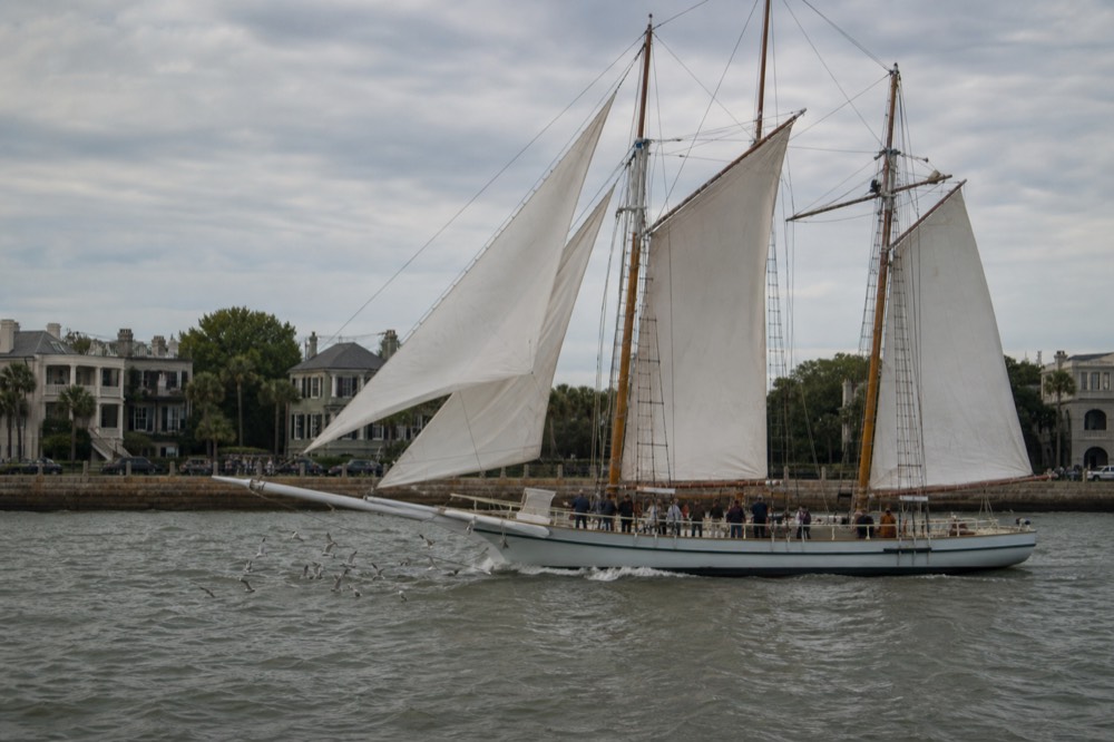 A historic three-mast schooner under sail near the city waterfront, no text, no logos, no people