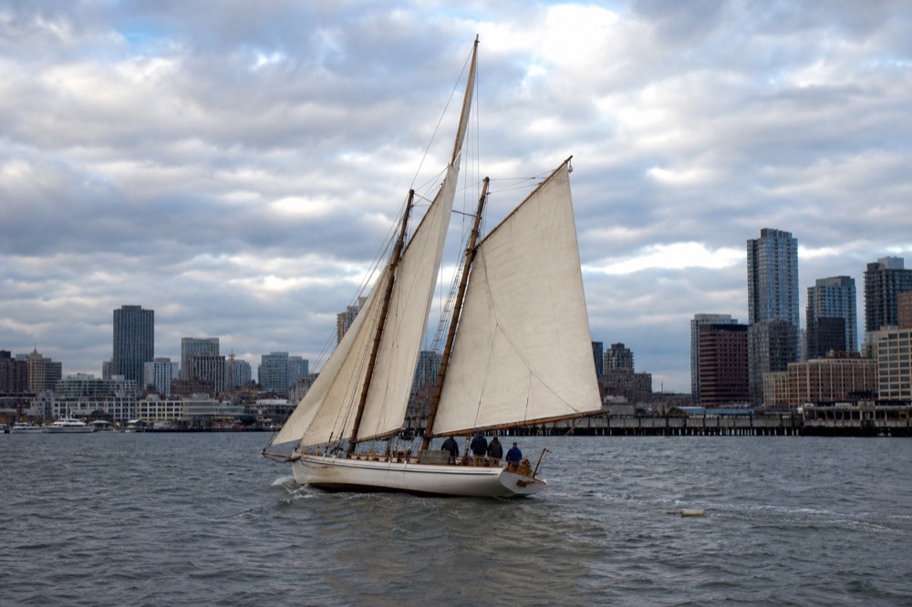 An 84ft schooner under sail in the harbor with the city skyline behind, no text, no logos, no people