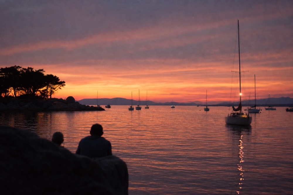 Charleston harbor at sunset with sailboats, no text, no logos, no people