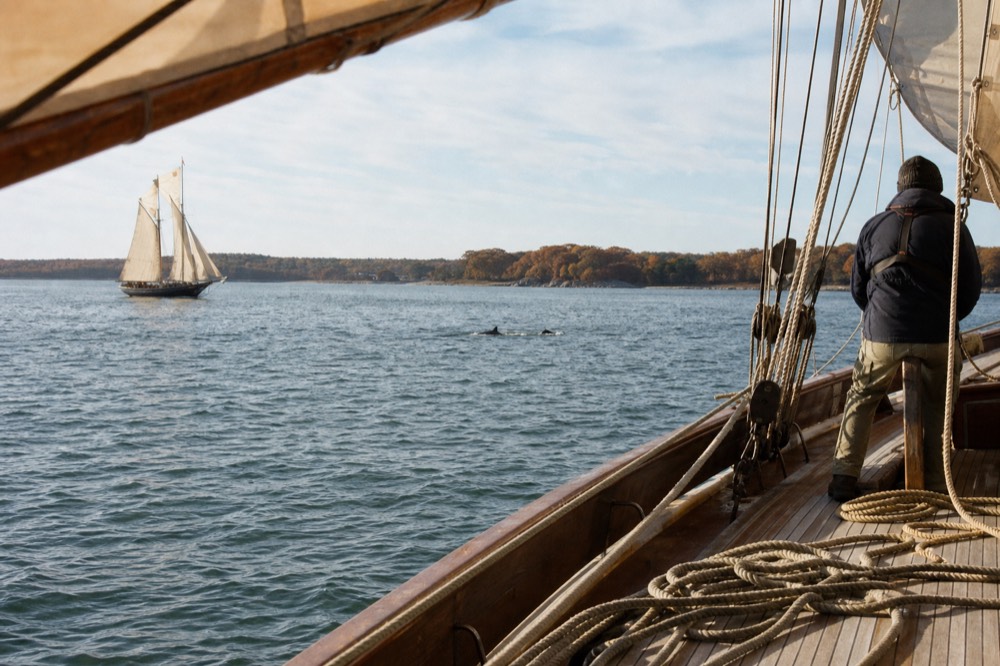 Tall ship under sail on open harbor water with dolphins in the distance, no text, no logos, no people