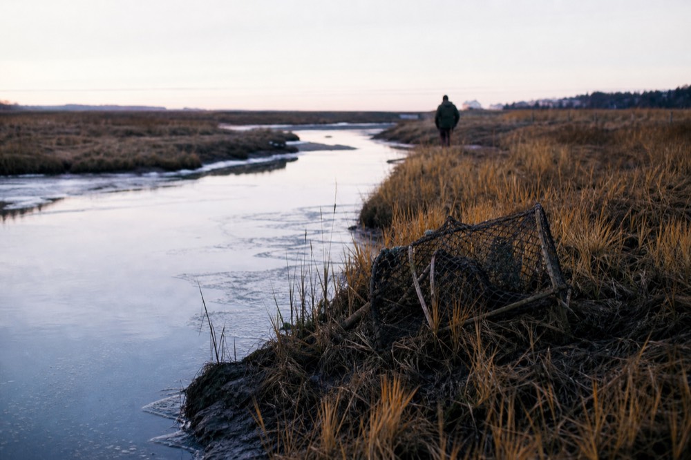 Marsh grass in autumn color along a quiet tidal creek at dawn, no text, no logos, no people