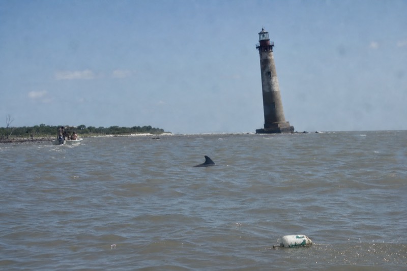 Folly Beach Dolphin Viewing Boat Excursion